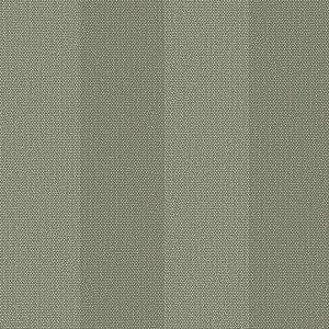 Papel de Parede Tramas - Listrado - TR-4059 - vinílico