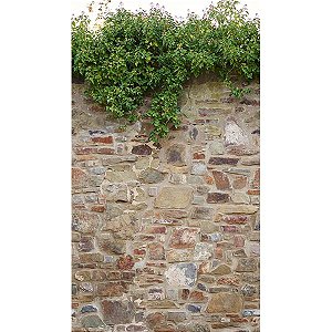 Papel de Parede The Wall 2 - Pedras - AS392471 - Vinílico