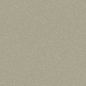 Papel de Parede Essencial - Textura - B4307 - Vinílico