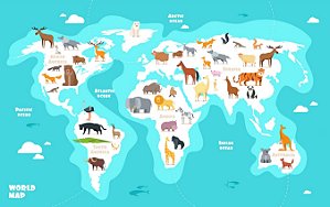 Papel de Parede Mapas Infantis - Infantil - KPMIN010 - Vinílico