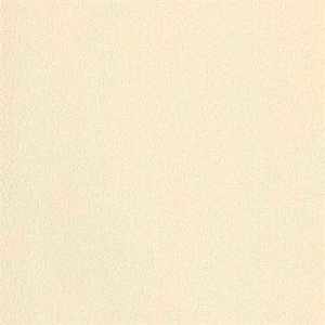 Papel de Parede Rustic Country - Liso - PA130505 - Vinílico