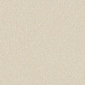 Papel de Parede Surfaces - Textura - SF1113 - Vinílico