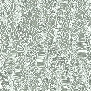 Papel de Parede Brisa do Mar - Folhas e Flores - BDM-14 - Vinílico