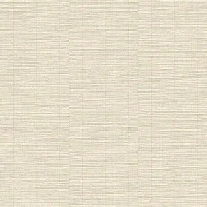 Papel de Parede Structured Walls - Textura - A80302 - Vinílico
