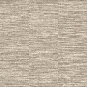 Papel de Parede Structured Walls - Textura - A80303 - Vinílico