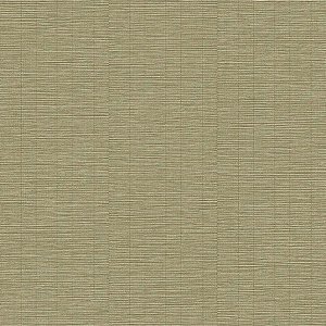 Papel de Parede Structured Walls - Textura - A80305 - Vinílico