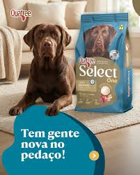 Quatree Select One Adultos Todas As Racas Frango E Carne 15kg