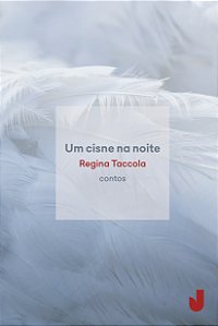 Um cisne na noite