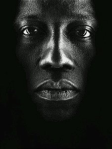 VIDAS NEGRAS