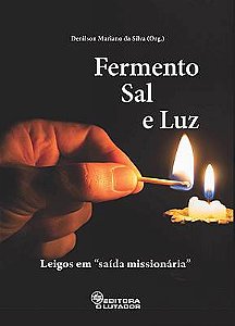 Fermento, Sal e Luz: Leigos em “saída missionária”
