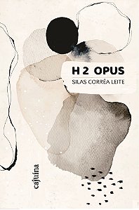 H2OPUS