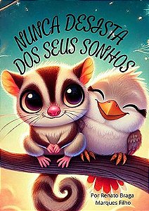 Nunca Desista Dos Seus Sonhos