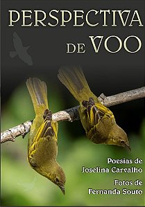 Perspectiva de voo