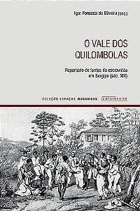 O vale dos quilombolas: repertório de fontes da escravidão em Sergipe (séc. XIX)