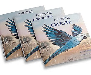 O voo de Celeste