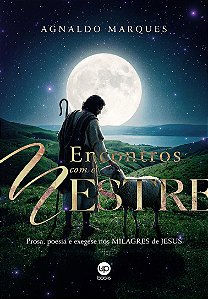 Encontros com o Mestre: prosa, poesia e exegese nos milagres de Jesus