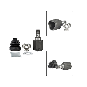 Tulipa BYD Dolphin 2024 em Diante