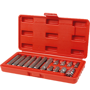 Jogo de Bits Allen 4-12mm Encaixe 10mm Com 15 Pecas - WORKER