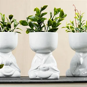 Vaso Cachepô Bob Zen