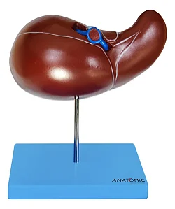 Fígado Luxo