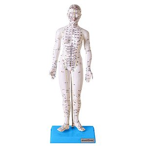 Modelo de Acupuntura de 50 cm, Feminino