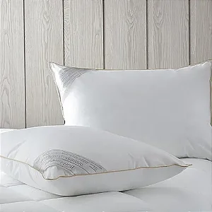 Travesseiro Buddemeyer Toque De Pluma