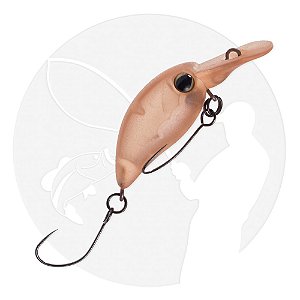 Isca Timon PANICRA DR 931