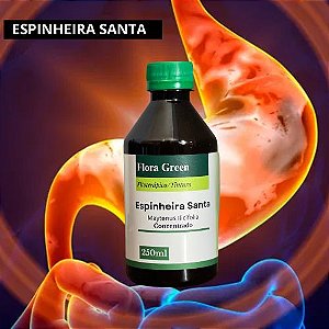 Espinheira Santa - Flora Green