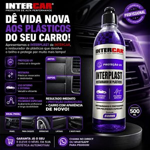 Interplast 500ml Intercar