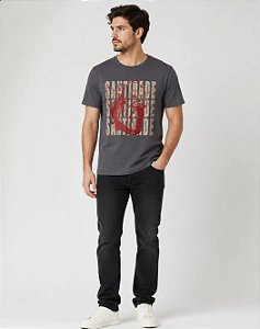 Camiseta Algodão Santidade Cinza