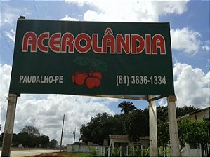 CFI - 5º ANO - Paudalho (ACEROLÂNDIA) - Glória do Goitá (SERTA)