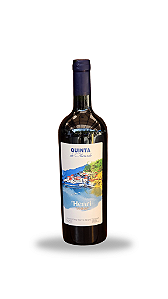 Vinho tinto seco Henri Tannat