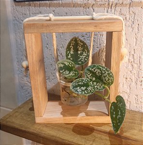 Quadro Vivo – Elegance Verde