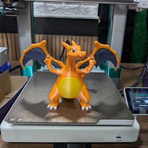 Charizard Pokémon