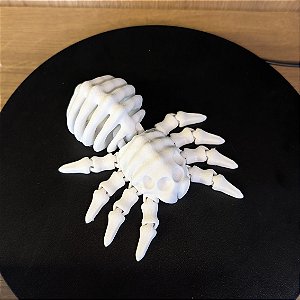 Aranha Esqueleto Decorativa – Edição Halloween