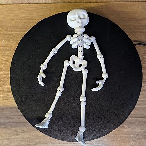 Caveira Esqueleto Decorativa