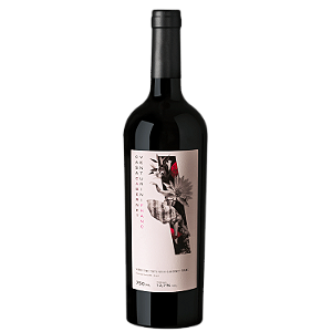 Casa Venturini Cabernet Franc