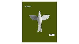 PEÇA EM RESINA DIVINO ESPIRITO SANTO GRANDE - CÓD. 247