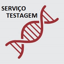 SEXAGEM POR DNA (SERVIÇO TERCERIZADO) - VOCÊ NOS ENTREGA A AMOSTRA POR PENA