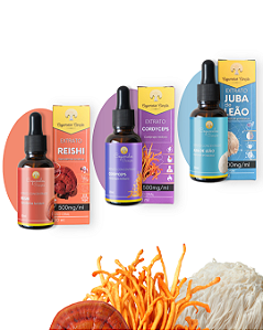 COMBO - 1 Juba de Leão + 1 Cordyceps + 1 Reishi