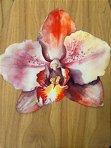 Americano Orquídea 2 HD