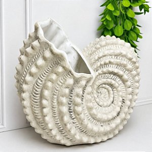 Concha Decorativa Ceramica Bege - P