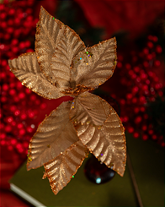 Bico de Papagaio com Borda em Gliter