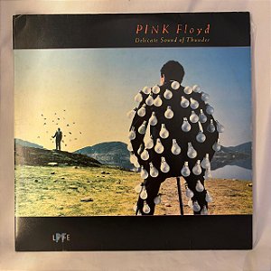LP - Pink Floyd - Delicate sound of thunder