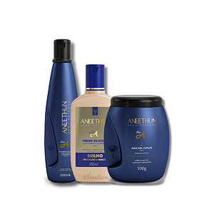 Kit  Shampoo + Máscara + Creme Silicone Linha A - Aneethun