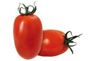 Tomate Italiano Fresco