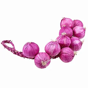 Cebola Corda x10 Roxa - 40cm