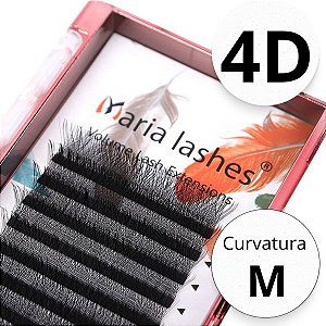 Maria Sasha 4D - Curvatura M
