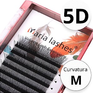 Maria Sasha 5D - Curvatura M