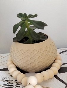 Vaso para as Suculentas